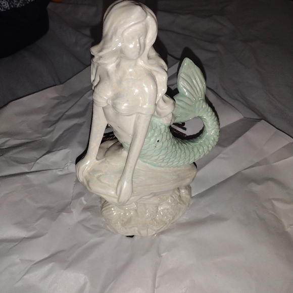 diffuser - Picture 6 of 9